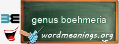 WordMeaning blackboard for genus boehmeria